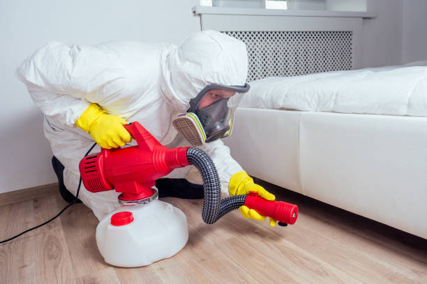 Best Local Pest Control Services  in Camdenton, MO