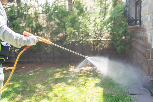 Best Flea Control Services  in Camdenton, MO
