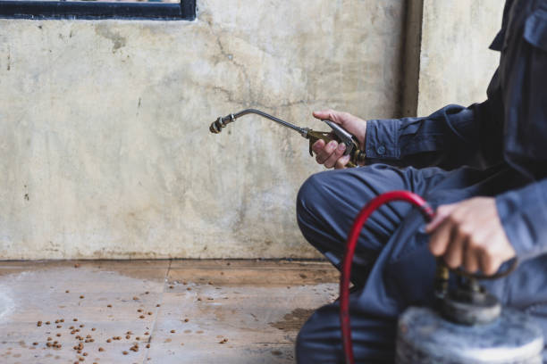 Best Best Pest Control Companies  in Camdenton, MO