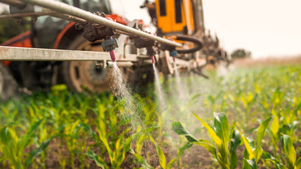 Best Pest Removal Services  in Camdenton, MO